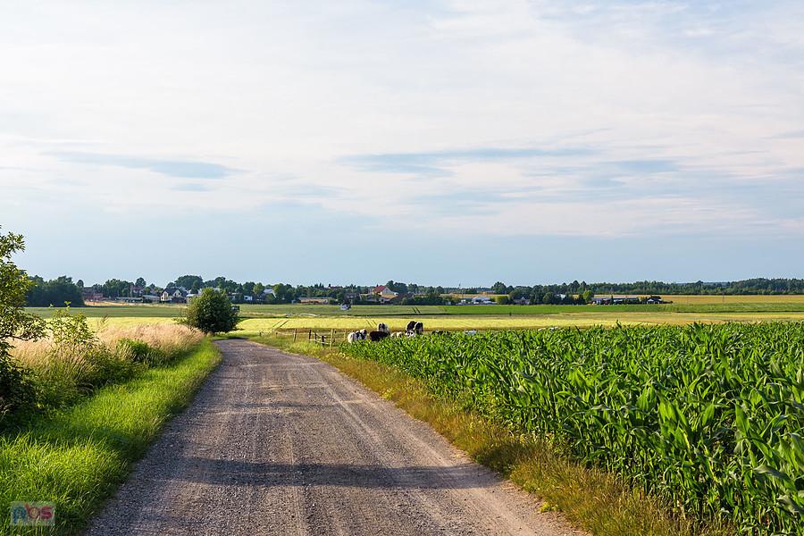 Lubecko - ul. Boczna