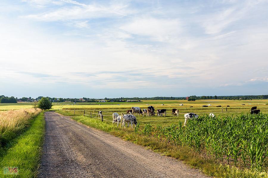 Lubecko - ul. Boczna
