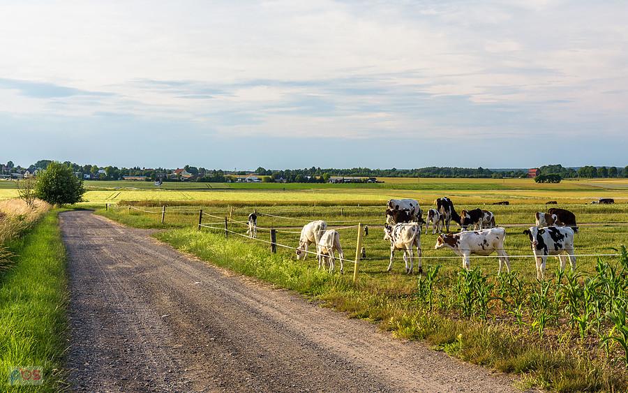 Lubecko - ul. Boczna
