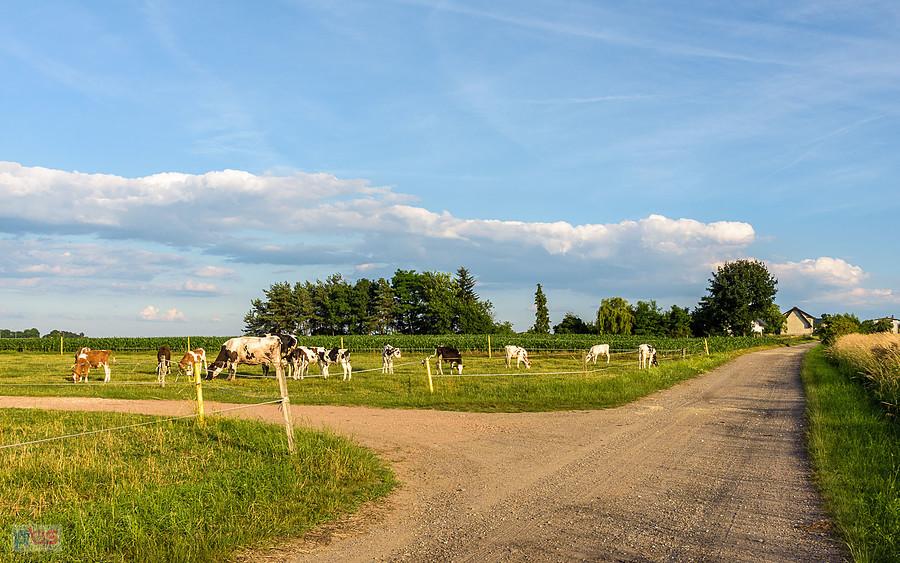 Lubecko - ul. Boczna