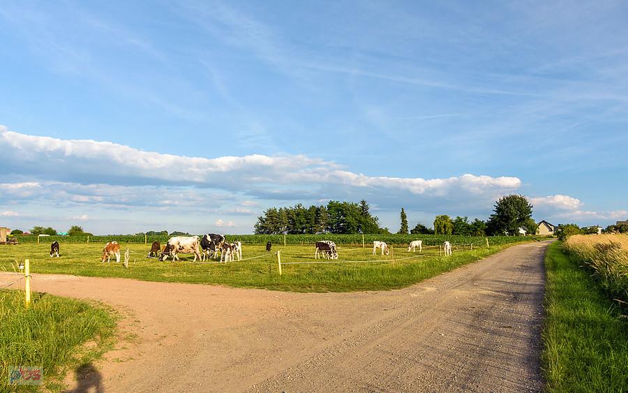 Lubecko - ul. Boczna