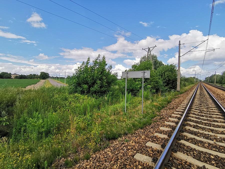 Dzikie przejście przez tory, Kopyty
