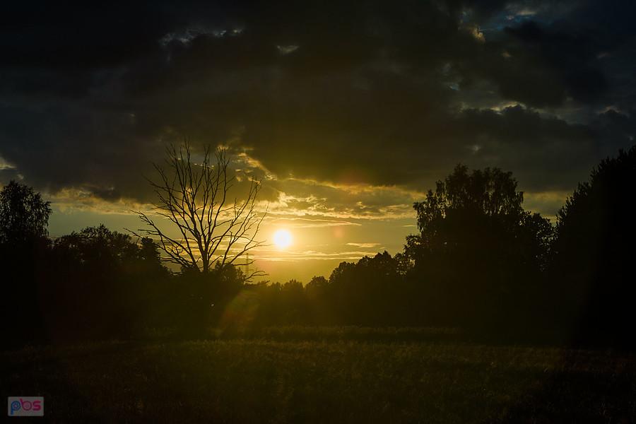 Słońce wyszło zza chmur - Korwinów.