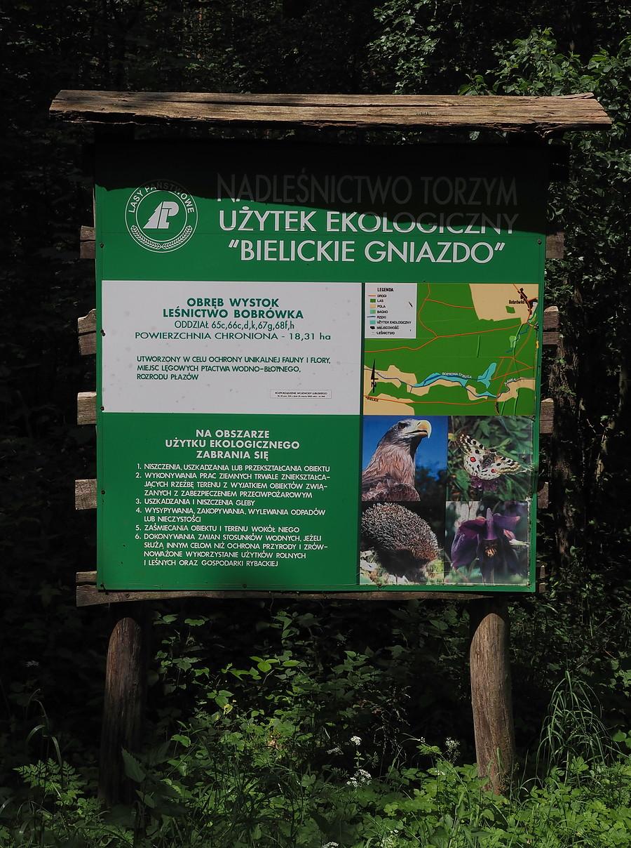 Użytek ekologiczny "Bielickie Gniazdo"