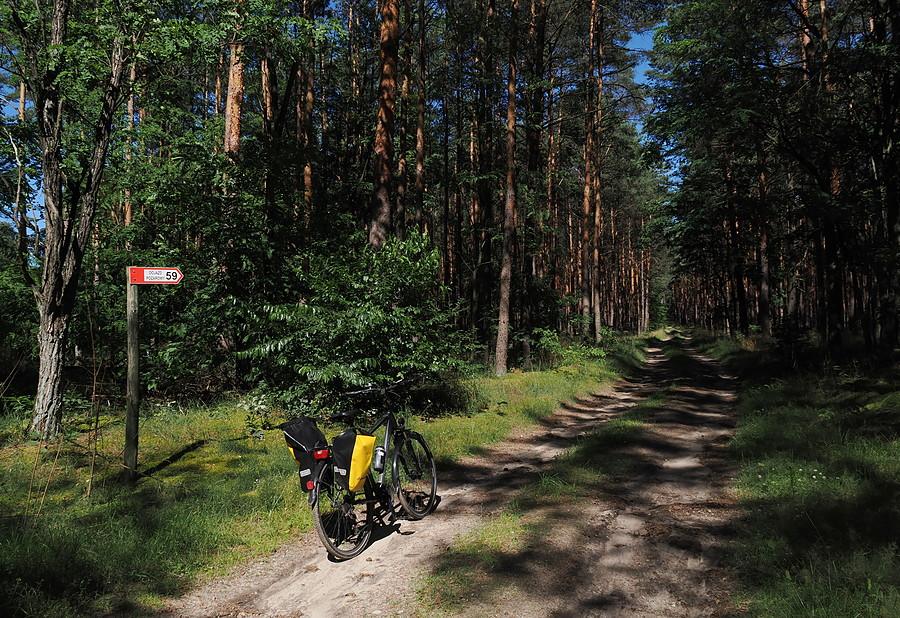 Dojazd pożarowy 59, kierunek - Kurwia Góra