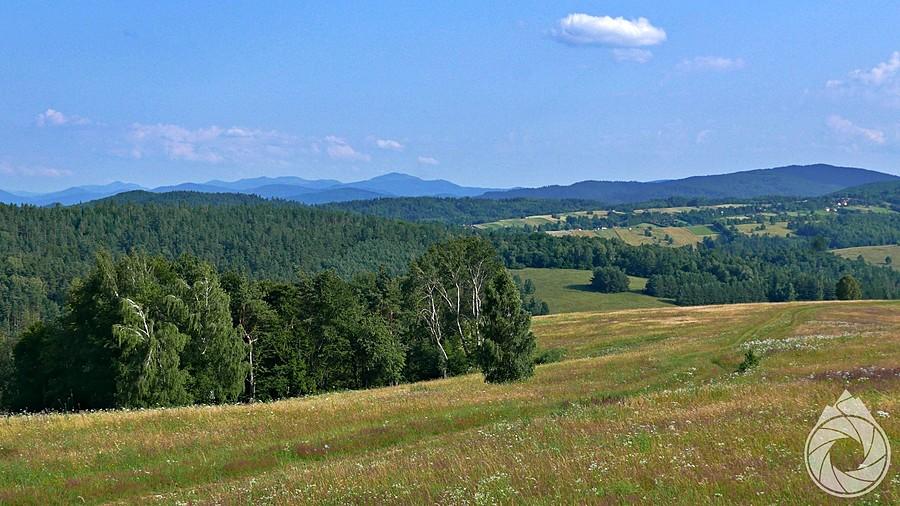 znad Żernicy widok na Bieszczady Wysokie