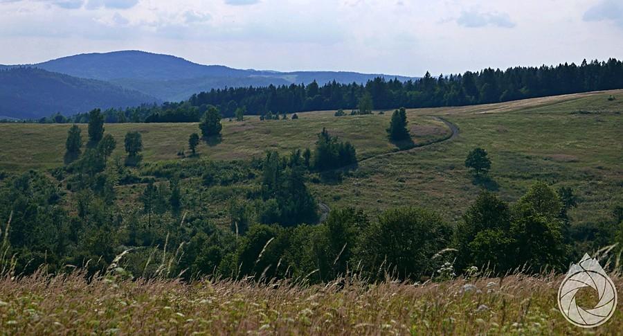 jakieś drogi na hopkach nad Żernicami
