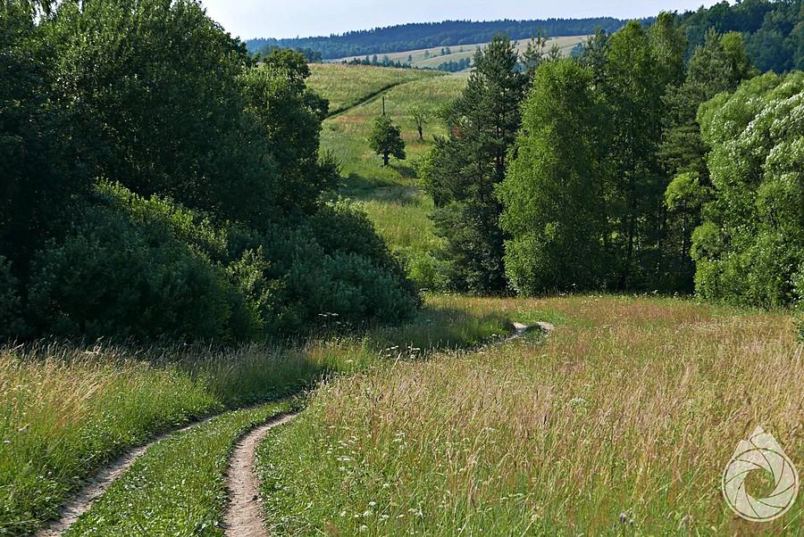 droga do garbu nad Bereżnicą