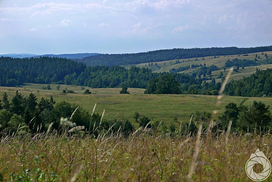 łąki nad Żernicami