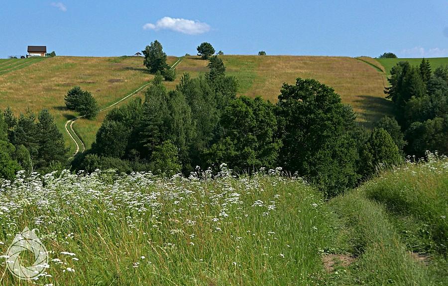 spojrzenie na mocną sztajfę nad Żernice