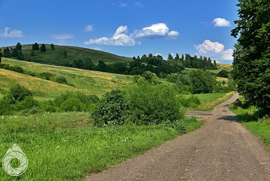 dolina Żernicy Wyżnej