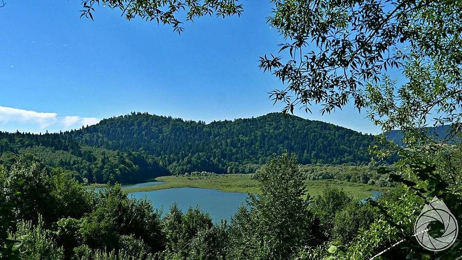 Solina przy Wołkowyji