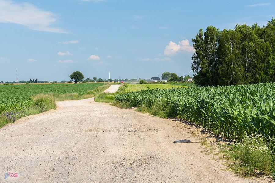 Lubojenka