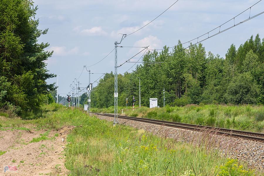 D29-146 obok osady Wierzba (szlak: Cykarzew - Brzeźnica nad Wartą), za widocznym przejazdem przebiega już granica województwa łódzkiego.