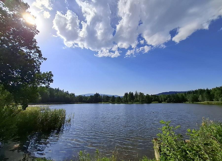 Staw w Karpnikach