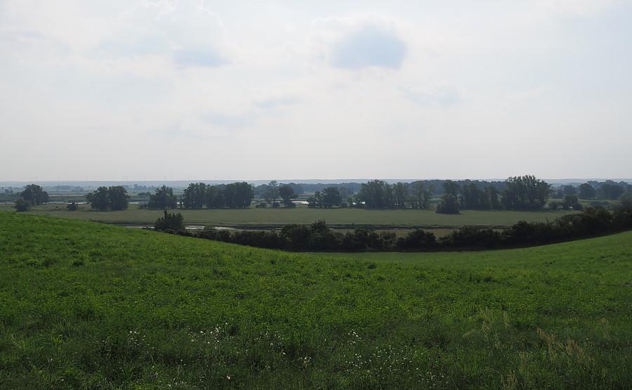 Oderblick pod Lebus