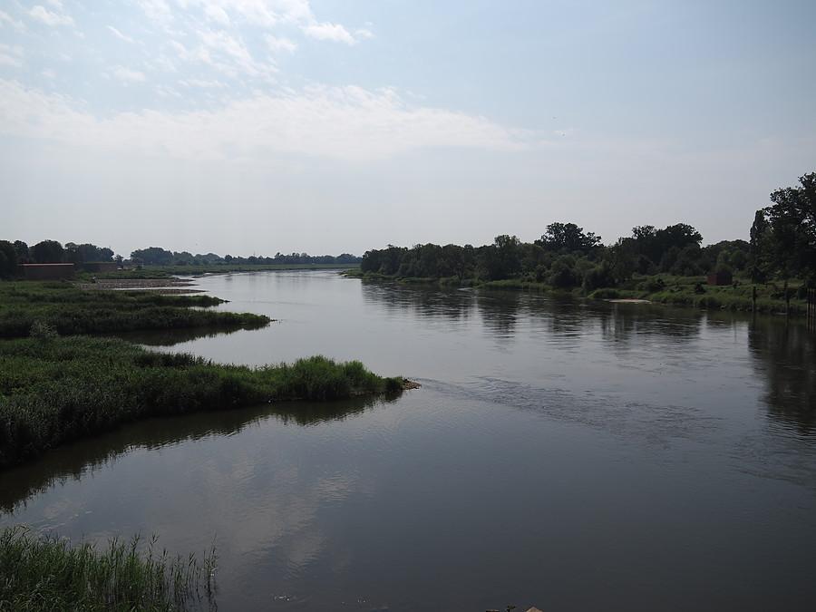 Odra w Kostrzynie nad Odrą