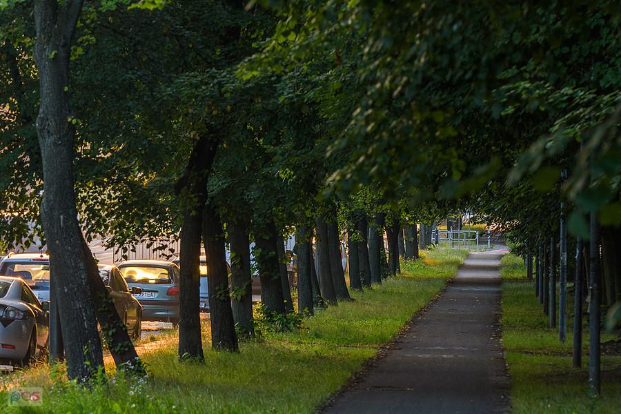 Częstochowa, DDR na al. Pokoju o poranku.