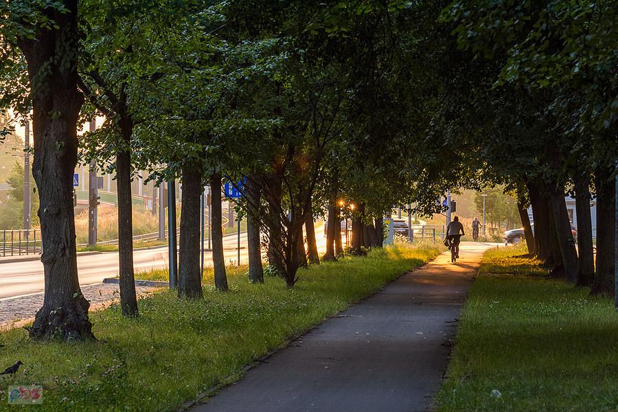 Częstochowa, DDR na al. Pokoju o poranku.