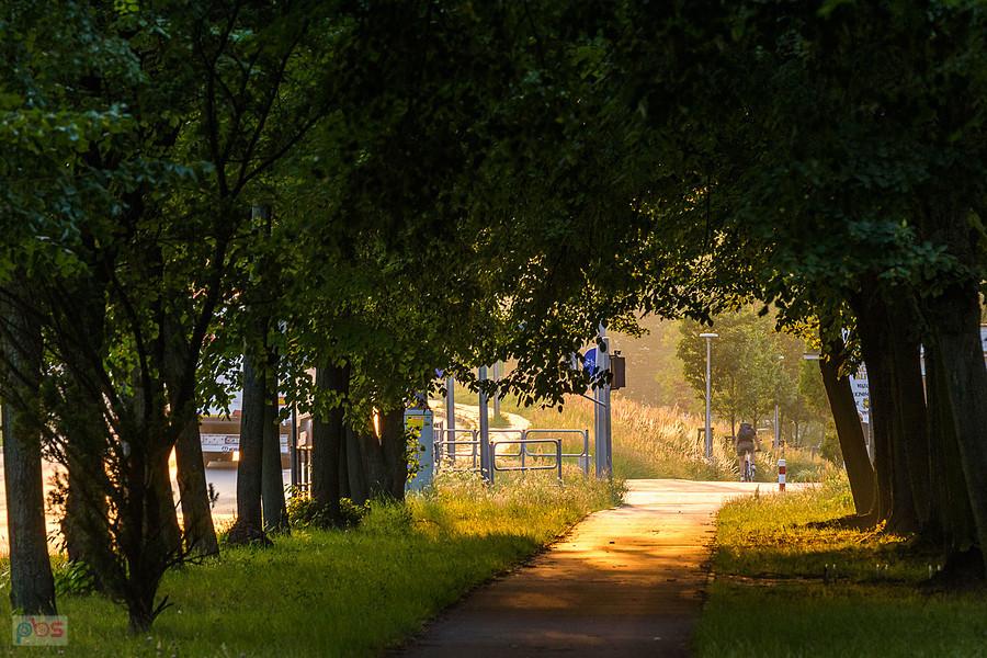 Częstochowa, DDR na al. Pokoju o poranku.