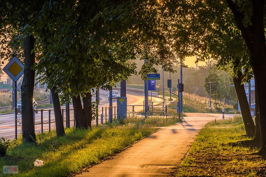 Częstochowa, DDR na al. Pokoju o poranku.