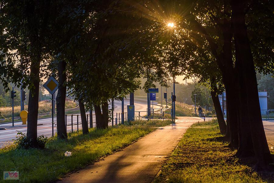 Częstochowa, DDR na al. Pokoju o poranku.