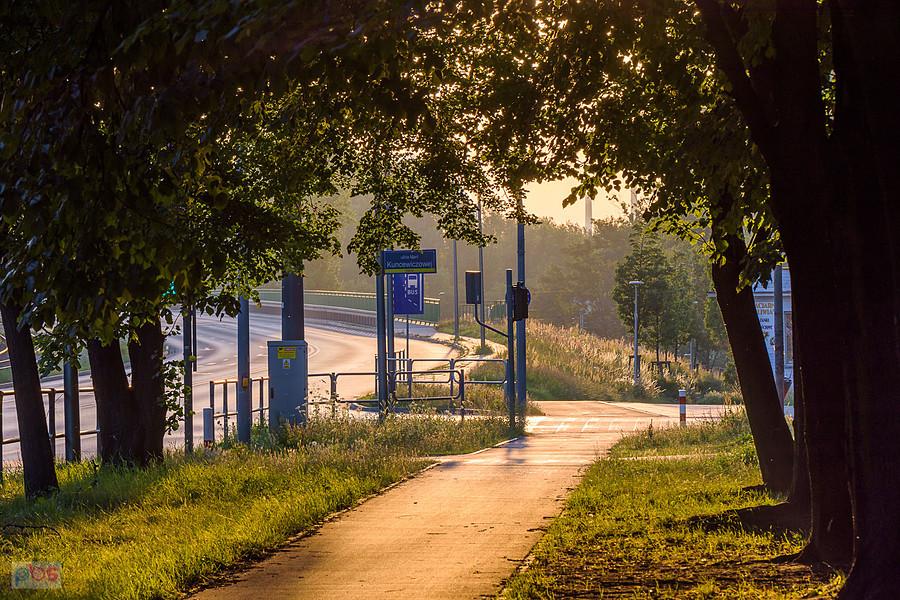 Częstochowa, DDR na al. Pokoju o poranku.