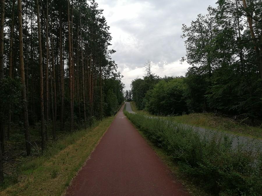 Ścieżka do Jarocina.