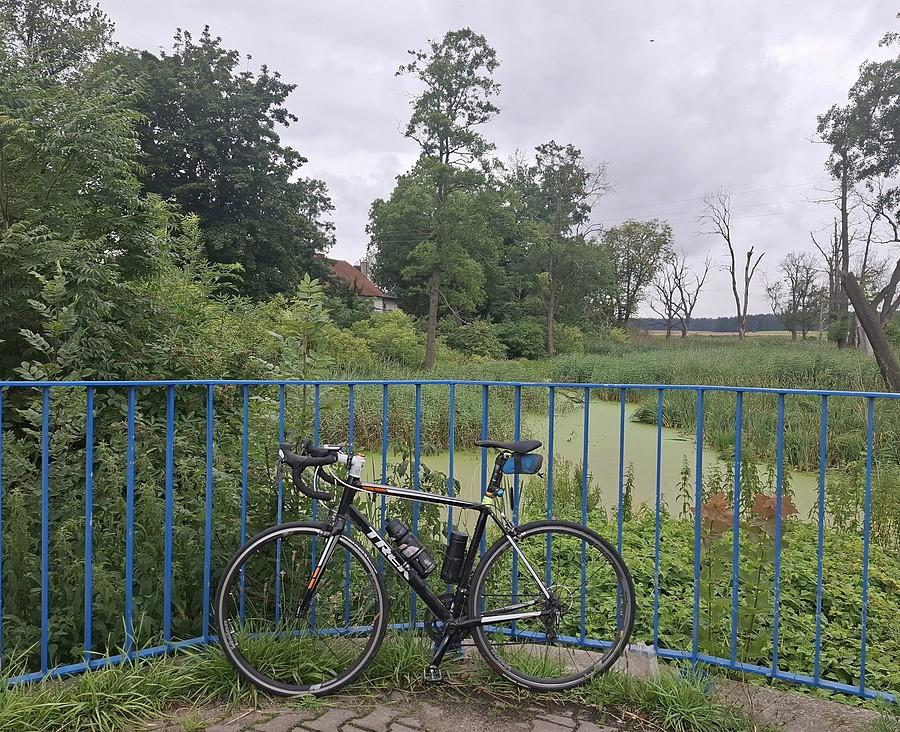 Znów w Trzcielinie