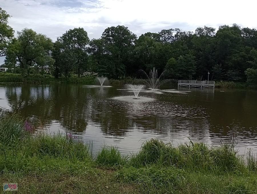 Staw w Ołtarzewie
