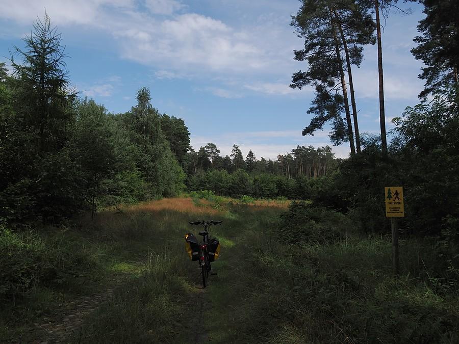 Odcinek Grabno - Smogóry