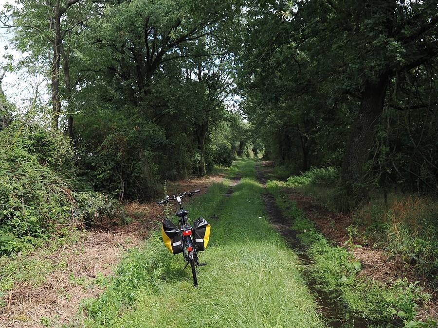Odcinek Grabno - Smogóry