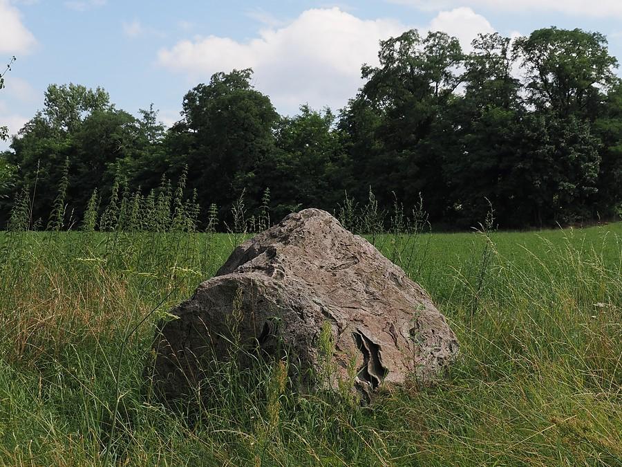 Głaz narzutowy pod Smogórami