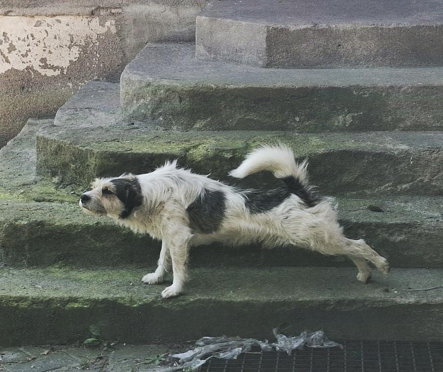 Obudziłem kolegę :)