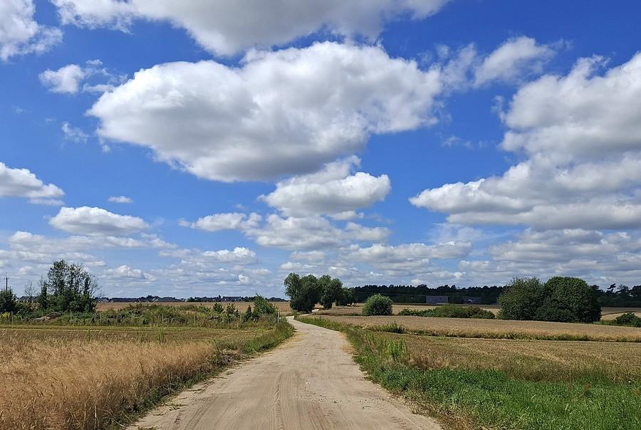 Są wciąż takie polne drogi...