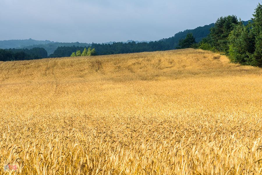 Złoty Potok - zaczyna pojawiać się słońce - godz. 7:03.