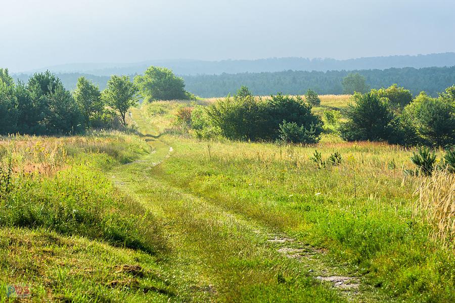Złoty Potok - chmury i mgła zaczynają ustępować słońcu - godz. 7:03.
