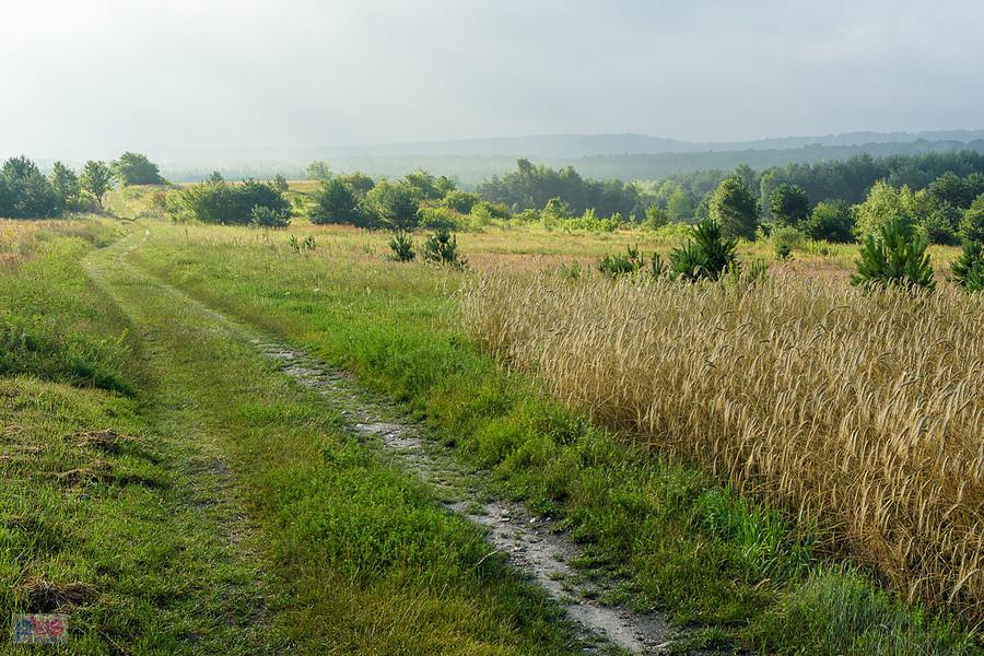 Złoty Potok