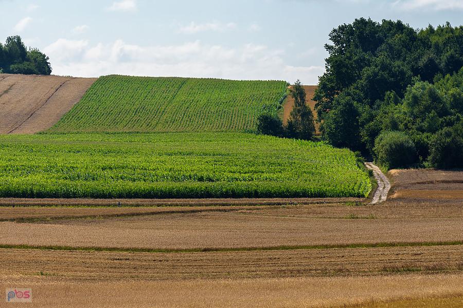 Bystrzanowice-Dwór
