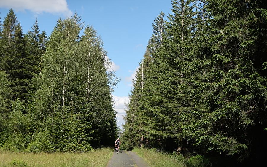 Podjazd klimatyczną Drogą Chomontową