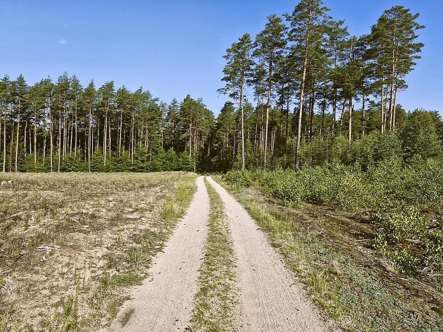 Szutrowa droga Małszewo - Bałdy