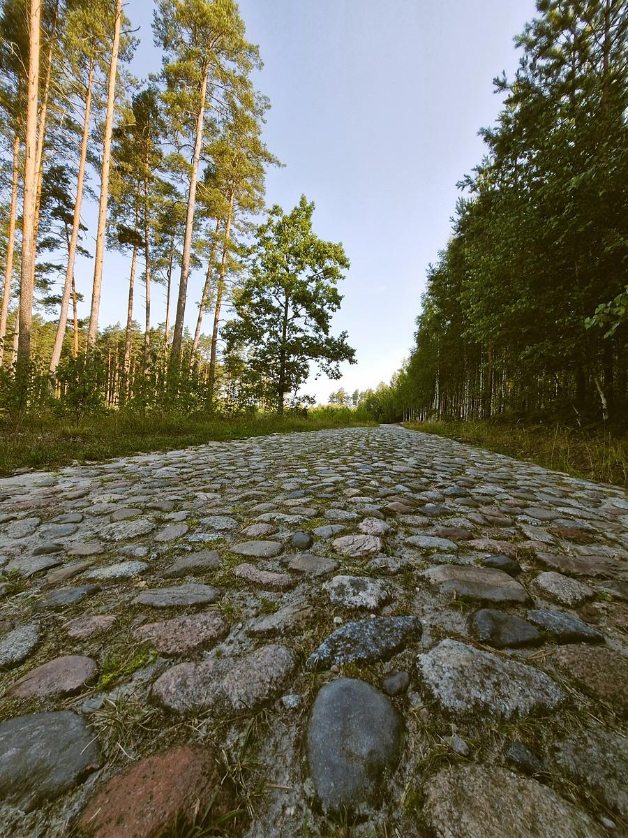 Brukowany dojazd do Brzeźna Łańskiego