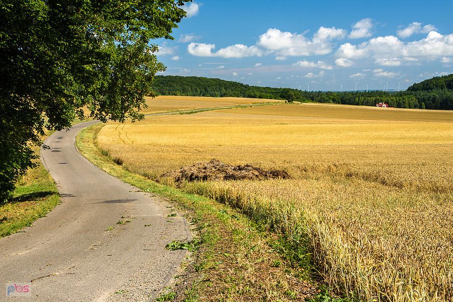 Bystrzanowice-Dwór (Janów)