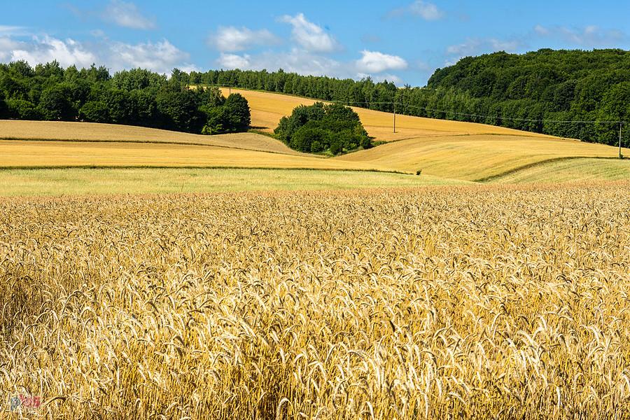 Bystrzanowice-Dwór (Janów)