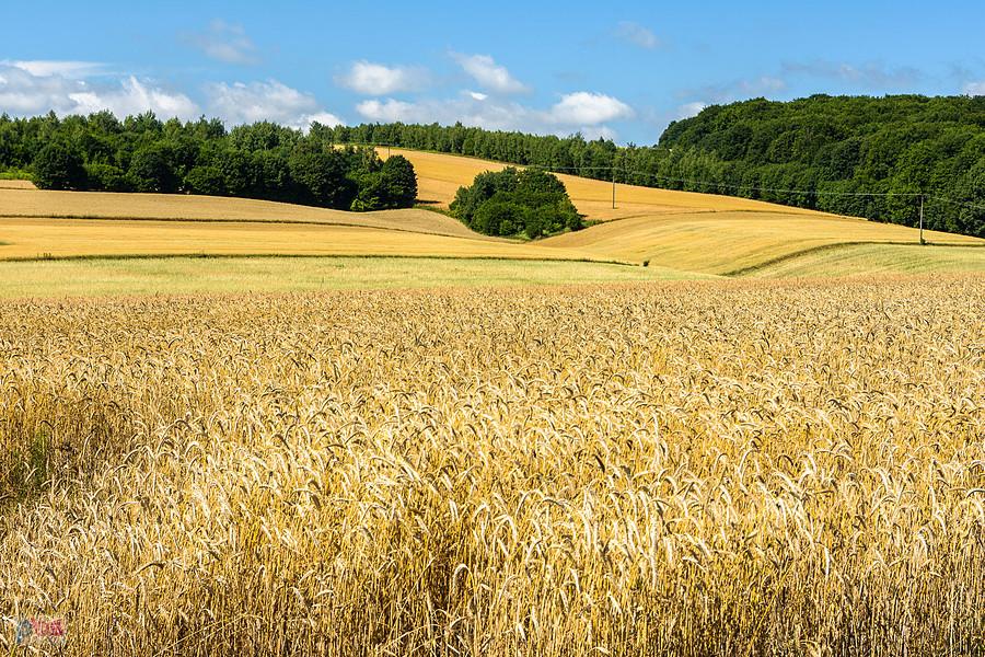 Bystrzanowice-Dwór (Janów)