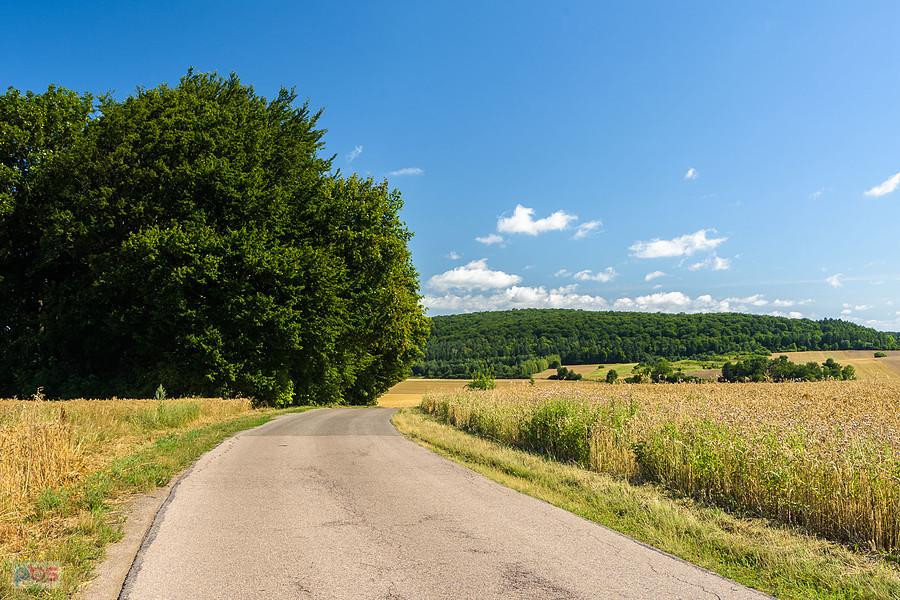 Bystrzanowice-Dwór (Janów)