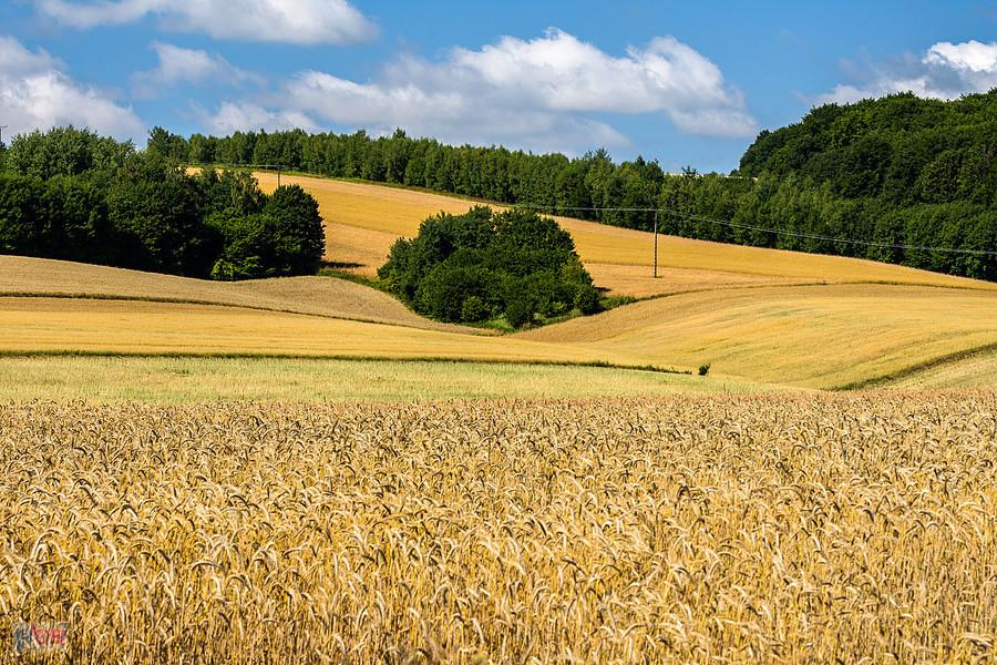 Bystrzanowice-Dwór (Janów)