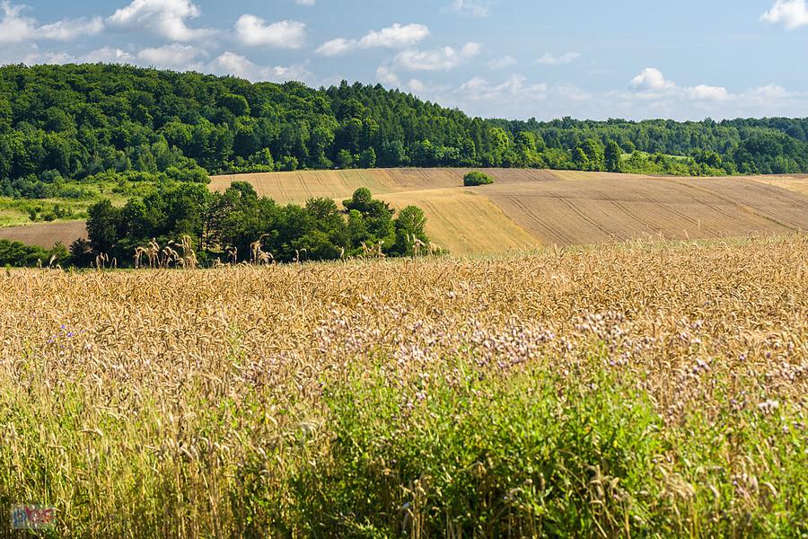 Bystrzanowice-Dwór (Janów)