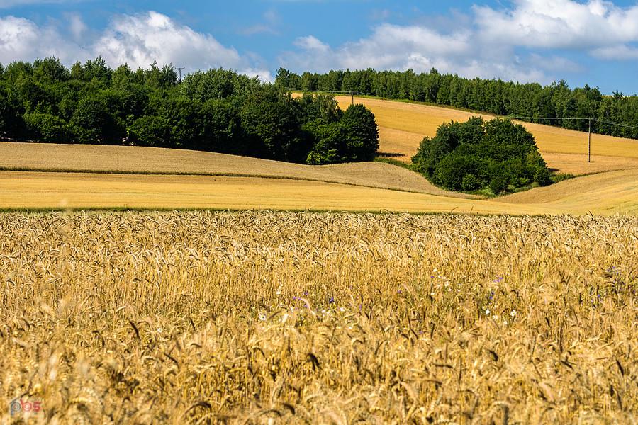 Bystrzanowice-Dwór (Janów)