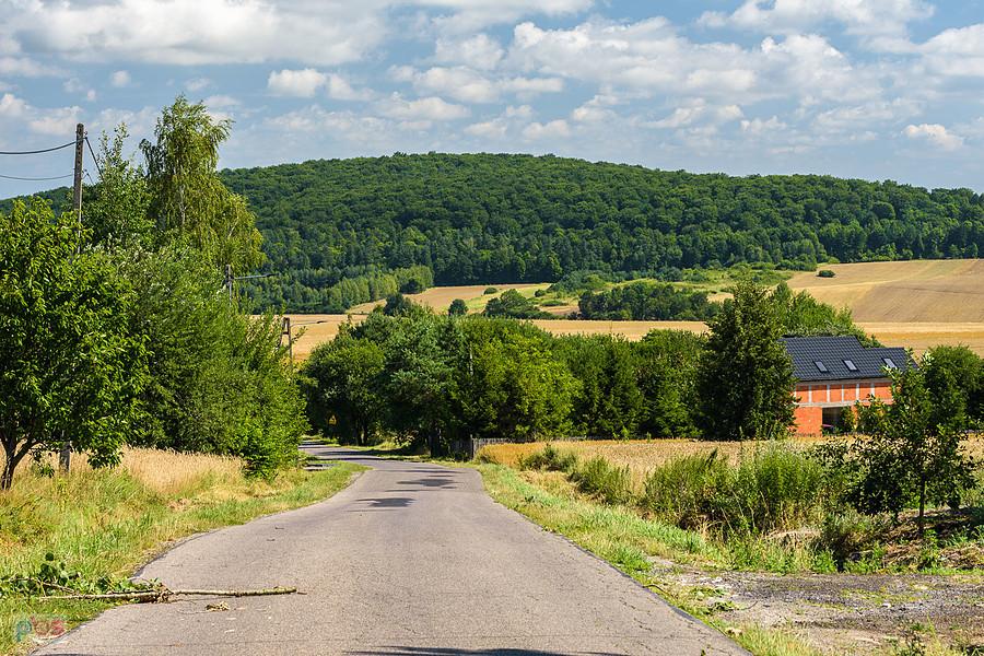 Bystrzanowice-Dwór (Janów)